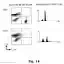 Fig. 15 - Methods for the prevention against or treatment of diabetes with ETXB and/or insulin