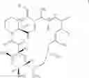 Fig. 02 - Pharmaceutical combinations comprising corticoids and immunosuppressants for treating corticoid- and/or calcineurin inhibitors-resistant diseases