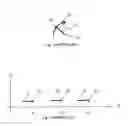 Fig. 02 - Symmetric poi