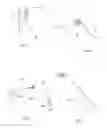 Fig. 08 - Symmetric poi