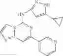 Fig. 511 - Kinase inhibitors