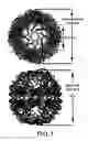 Fig. 02 - Versatile platform for nanotechnology based on circular permutations of chaperonin protein