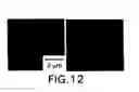 Fig. 32 - Versatile platform for nanotechnology based on circular permutations of chaperonin protein