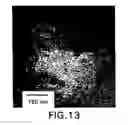 Fig. 33 - Versatile platform for nanotechnology based on circular permutations of chaperonin protein