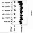 Fig. 39 - Versatile platform for nanotechnology based on circular permutations of chaperonin protein