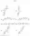 Fig. 49 - Bisaryl-sulfonamides