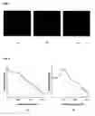 Fig. 02 - Method for reducing auto-fluorescence signals in confocal Raman microscopy