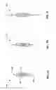 Fig. 04 - Devices and methods for the treatment of spinal disorders