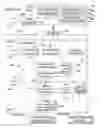 Fig. 01 - Method and apparatus for providing a work flow web application that receives image data via a web browser and exports the image data to a document processing server