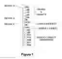 Fig. 02 - ACPI name space validation
