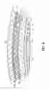 Fig. 09 - Offset lithographic printing press