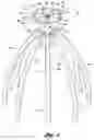 Fig. 02 - Compartmented fluid dispensing apparatus