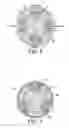Fig. 05 - Multiphase induction device