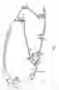 Fig. 02 - Turbine engine with an uncoupling device, uncoupling device and fusible screw for the uncoupling device