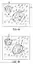Fig. 06 - Laser microdissection apparatus and method
