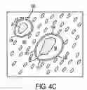 Fig. 07 - Laser microdissection apparatus and method
