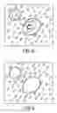 Fig. 09 - Laser microdissection apparatus and method