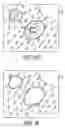 Fig. 22 - Laser microdissection apparatus and method