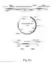Fig. 07 - Methods and materials for the identification of antifungal substrates in filamentous fungi