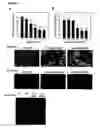 Fig. 02 - Methods and compositions for reducing toxicity of a pharmaceutical compound