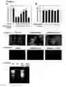 Fig. 04 - Methods and compositions for reducing toxicity of a pharmaceutical compound