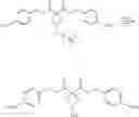 Fig. 11 - Protein-bound derivatives of platinum complexes containing cyclobutane1, 1-dicarboxyllate ligands