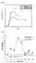 Fig. 02 - Nf-kb activation inhibitors