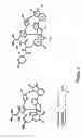 Fig. 02 - Synthetic diazonamides