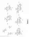 Fig. 03 - Synthetic diazonamides