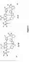 Fig. 09 - Synthetic diazonamides