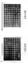 Fig. 07 - Conductive peptide nanofiber and method of manufacture of the same