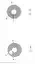 Fig. 06 - Endoscope with regidizable introducer sheath