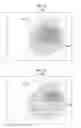 Fig. 13 - Image generating device for generating a fluorescence image