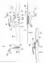 Fig. 02 - Articulated joint for knee brace