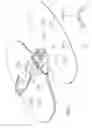 Fig. 02 - Medical anchoring system