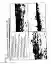 Fig. 07 - Biopolymers modified with superoxide dismutase mimics