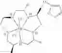Fig. 32 - Biopolymers modified with superoxide dismutase mimics