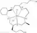 Fig. 35 - Biopolymers modified with superoxide dismutase mimics