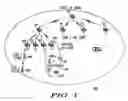 Fig. 02 - Method for performing neighbor discovery in a multi-tier WLAN