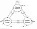 Fig. 01 - System for conversion between physical machines, virtual machines and machine images