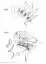 Fig. 02 - Device for applying a substance to the hair