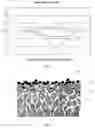 Fig. 02 - Derivatized cellulose filtration media and method for producing same