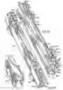 Fig. 05 - Golf club rack system