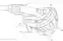 Fig. 01 - Golf ball retriever