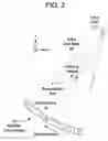 Fig. 03 - X-ray CT apparatus and X-ray CT imaging method