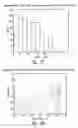 Fig. 23 - Systems and methods for treating a lung of a patient using guided radiation therapy or surgery