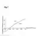 Fig. 08 - Optical fibers