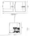 Fig. 06 - -based and LLO-based vaccines