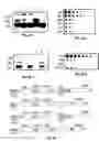 Fig. 06 - Vp2-modified raav vector compositions and uses therefor
