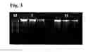 Fig. 04 - Methods and materials for using chemical compounds as a tool for nucleic acid storage on media of nucleic acid purification systems